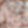 Tushy.22.03.13.Lauren.Phillips.1080p