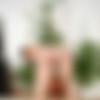 Sativa+video/32