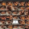 Boundhotties.com thumbnail