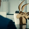 Coyote.vs.Acme.2026.2160p.DCP.SDR.DAUL.AUDIO.H264-AOC thumbnail