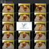 Collection of wife beatings thumbnail