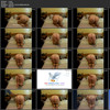 Collection of wife beatings thumbnail