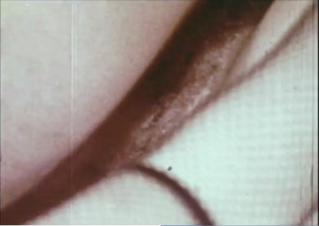 Connie Peterson/[Anal] House of Strange Passions - Film Gentleman Ass Fucker (1977).mp4