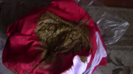 panther91-100/oxanaredpantydoubleload.wmv