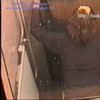 Pisswc-Toilet-1_part2 thumbnail