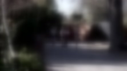81320.mp4