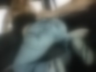 79909.mp4