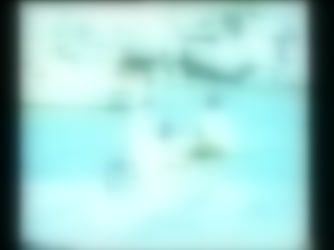 151895.mp4