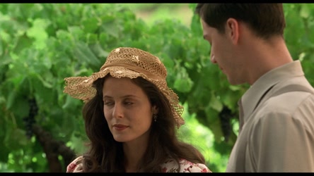 A.Walk.in.the.Clouds.1995.1080p.BluRay.x264-OFT/A.Walk.in.the.Clouds.1995.1080p.BluRay.x264-OFT.mkv